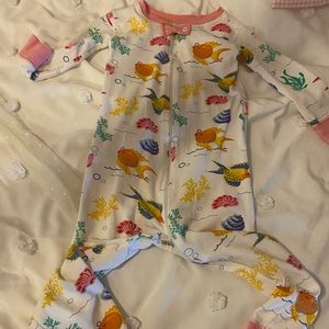 TBBC fripp fish 3t night nights